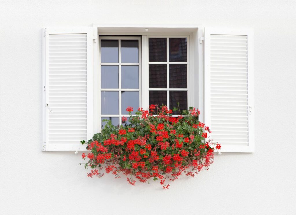 châssis en bois blanc avec fleurs